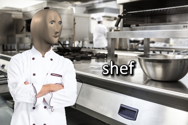 Funny cat photo of chef
